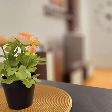 חונדוארה Apartament Confort Hd מראה חיצוני תמונה